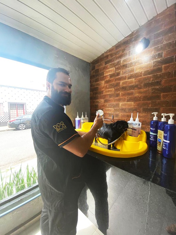 cuidados com seu pet no calor