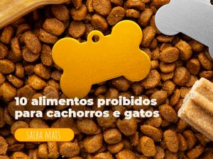 Alimentos proibidos para cachorros e gatos