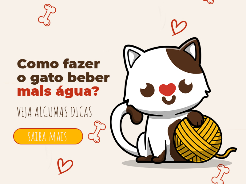 como fazer o gato beber mais água