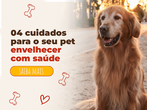 4 cuidados para seu pet envelhecer com saúde