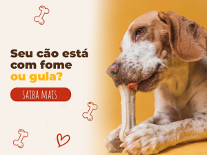 Seu cão está com fome ou gula?