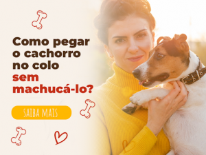 Como pegar o cachorro no colo sem machucá-lo?