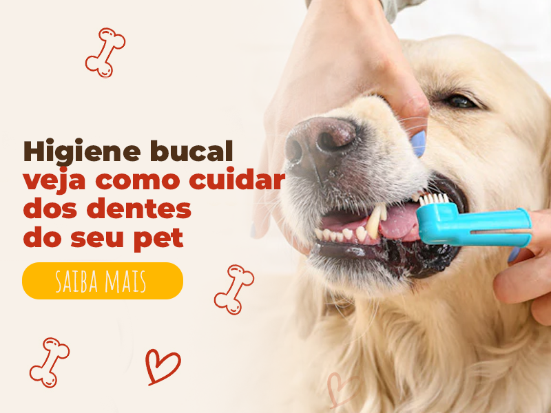 Higiene bucal de pets