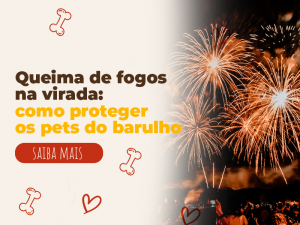 queima de fogos