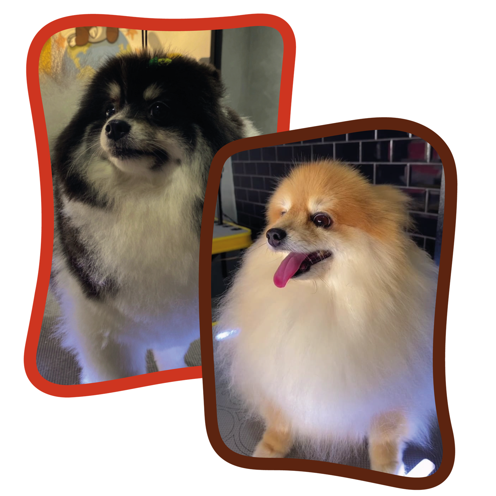 fotos escolas site 1-01